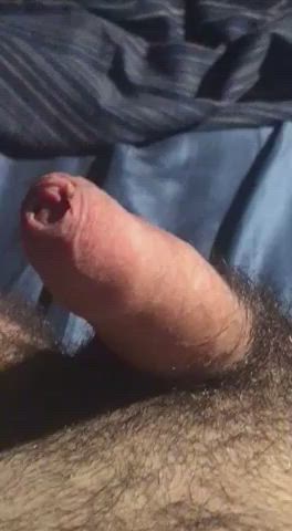cock jerk off nsfw gif