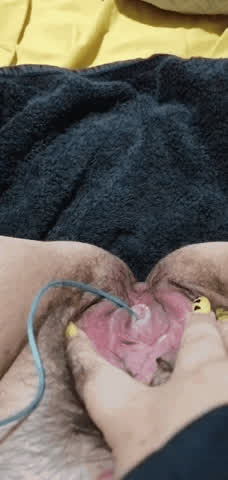 gape pussy pussy spread gif