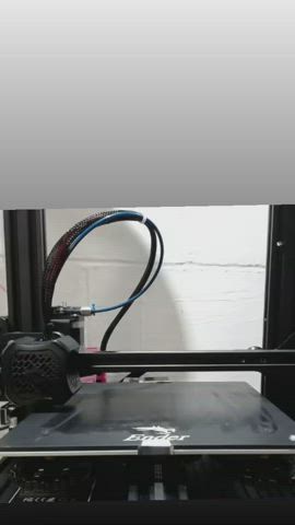 Huge Dildo 3D Print Timelapse
