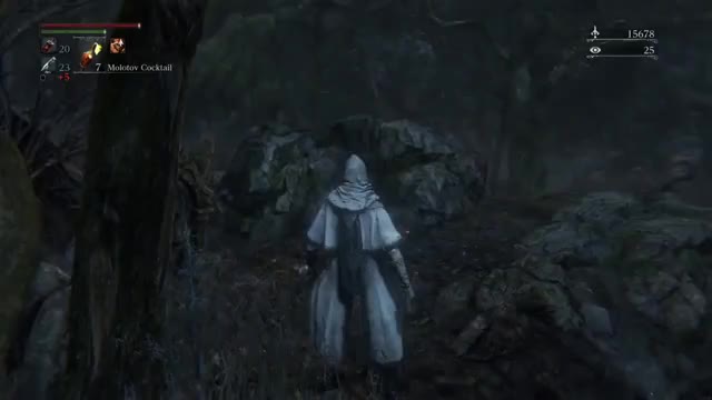 Bloodborne Swamp Hog Ass Execution 2