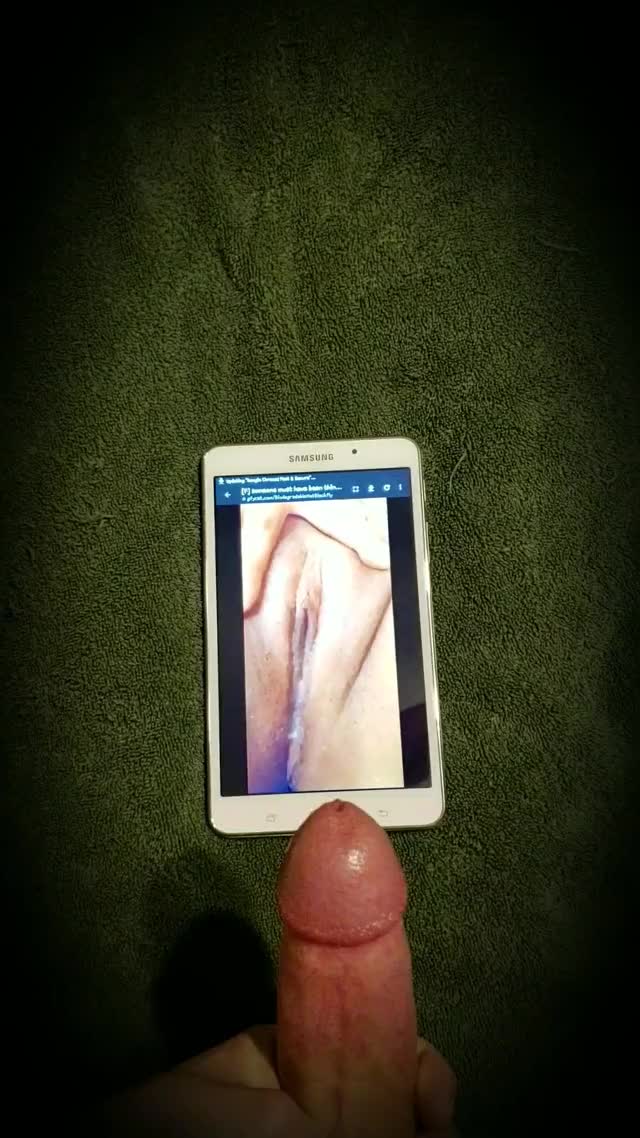 Tribute