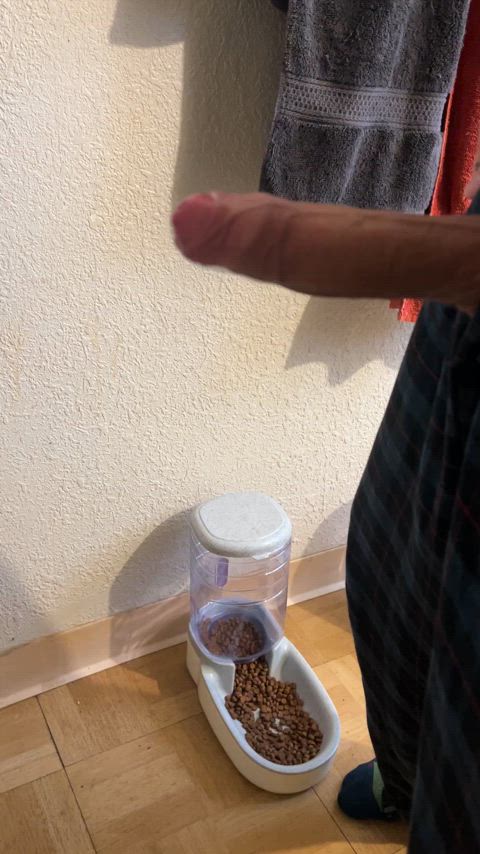 big dick homemade masturbating solo gif
