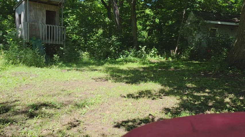 Outdoor Piss Pissing gif