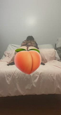 ass onlyfans twerking gif