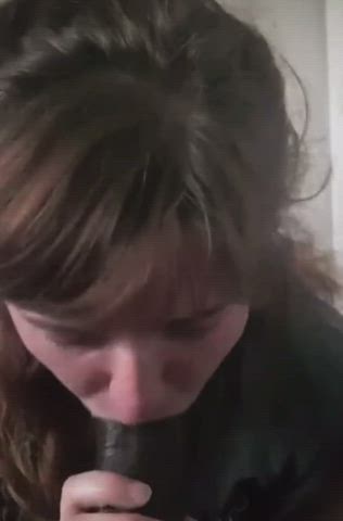 Blowjob Ponytail White Girl gif
