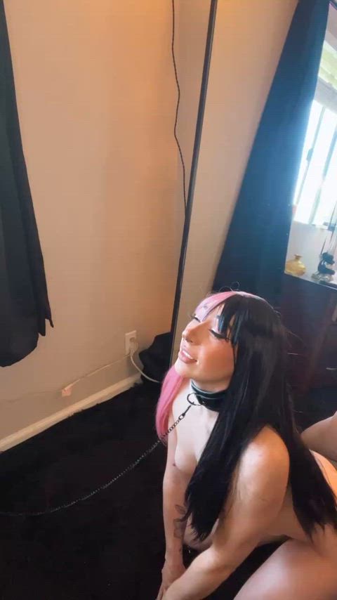 amateur ass collar collared tits gif
