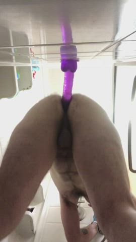 Amateur Anal Play Bear Bending Over Dildo First Anal Gay Hairy Masturbating gif