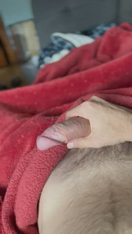 bwc big dick cock masturbating penis thick cock gif