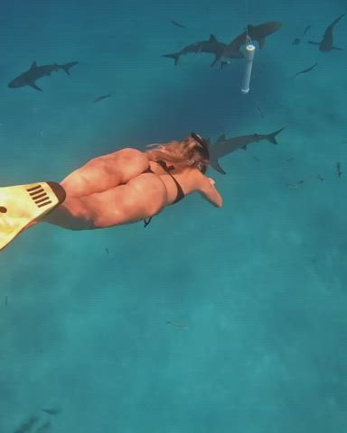 big ass bikini blonde dirty blonde pawg swimsuit tanlines thick thong gif