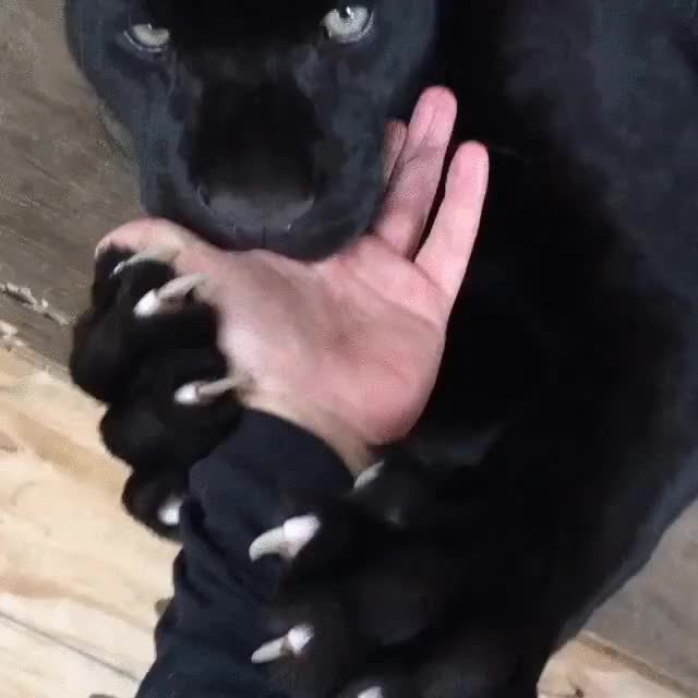 1582068888578