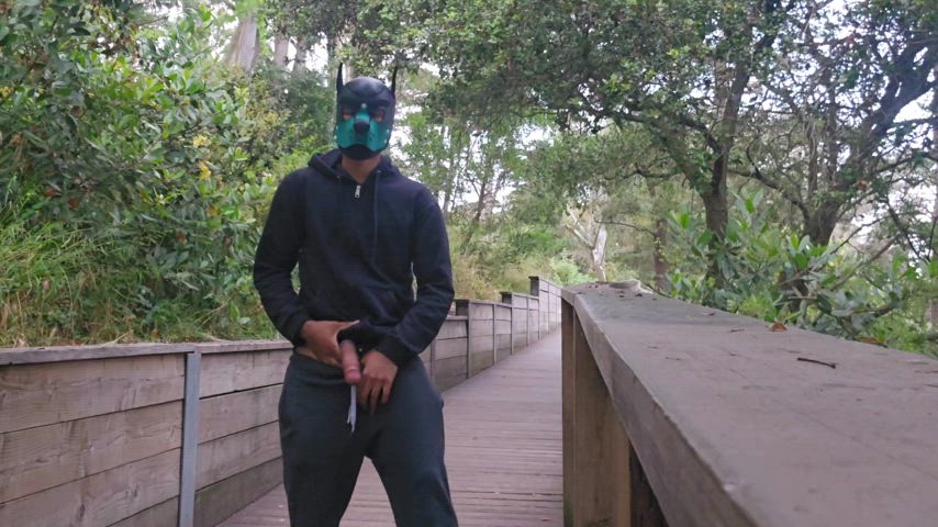 amateur big dick cockflash flashing masturbating onlyfans public gif