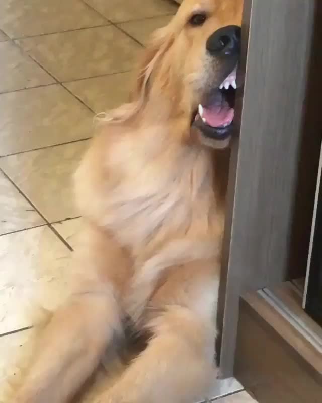 S E X Y B O Y E