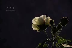 武夷山哪里能刷信用卡【Q67108398】