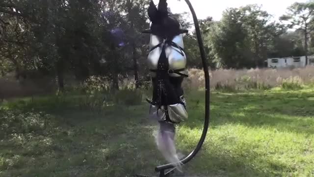 My scarecrow wouldn't keep the birds away so I needed to improvise