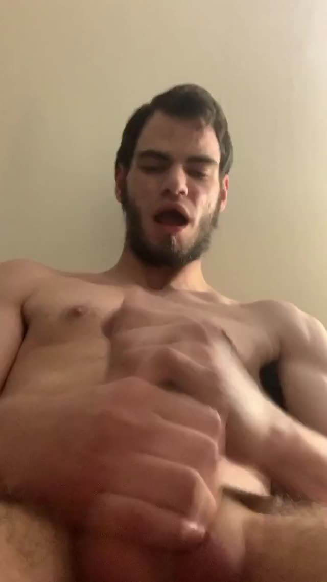 Young, Hung. And Loaded