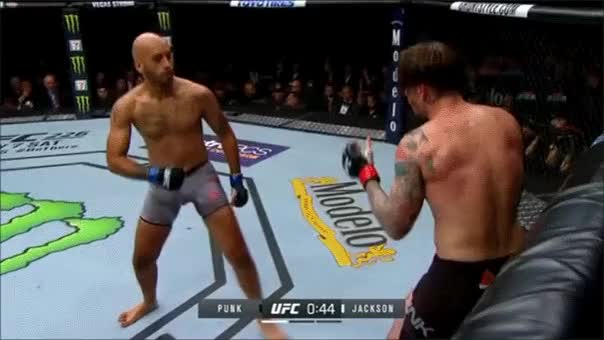 cm-punk-td