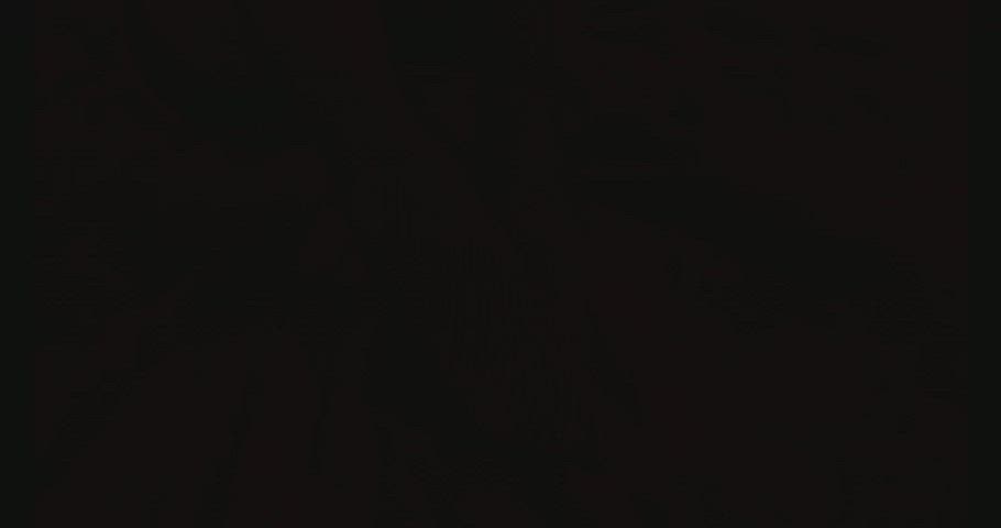 Femdom Fishnet Pantyhose gif