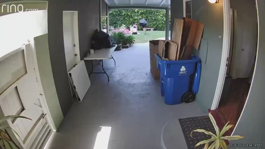 Bikini Funny Porn Lena The Plug gif