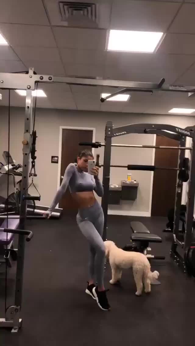  gif