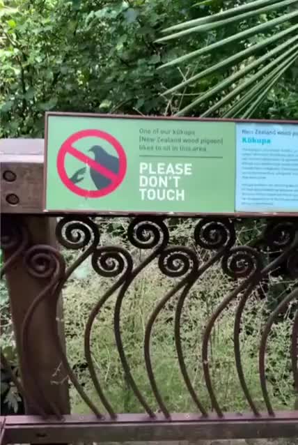 How dare you?