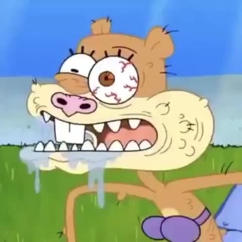 animation anime gif