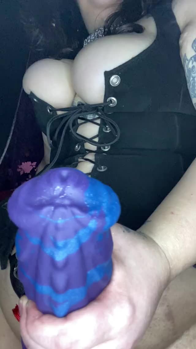 IMG 0218