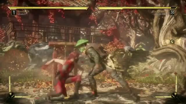 MK11 - Skarlet Krushing Blows