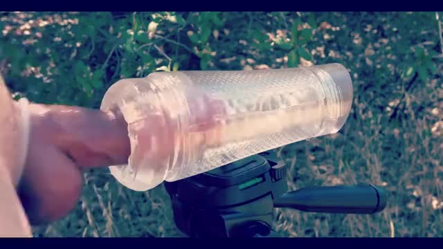 Spring time cock milking outdoors