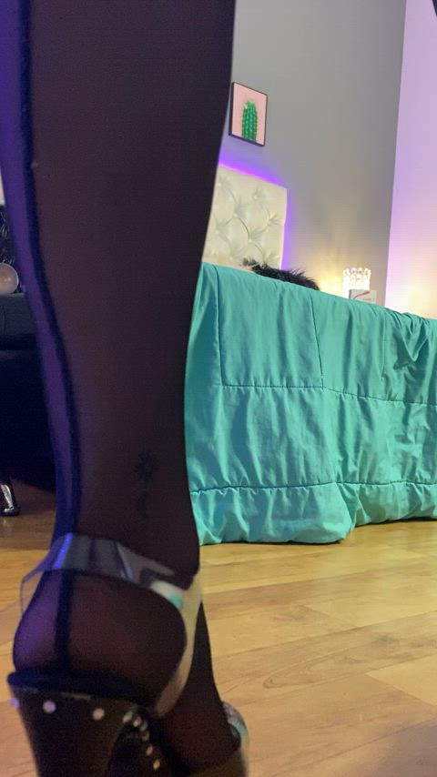 ass bongacams camsoda hairy pussy heels high heels latina legs pussy pussy spread