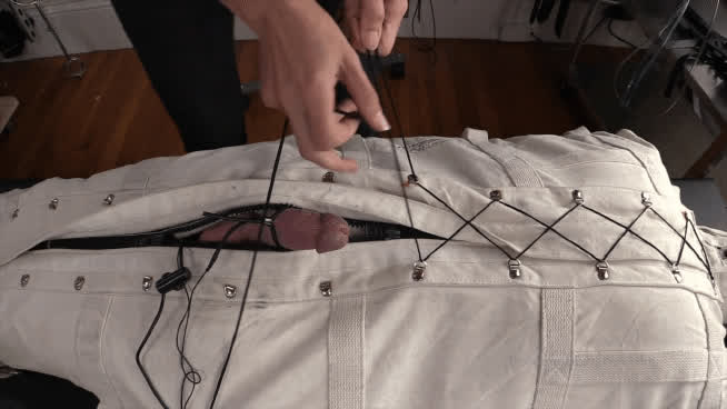 bdsm bondage cbt fetish gif