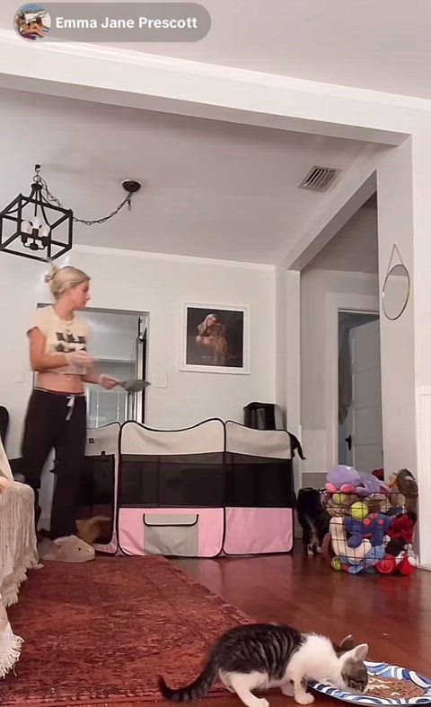downblouse nipslip tiktok gif