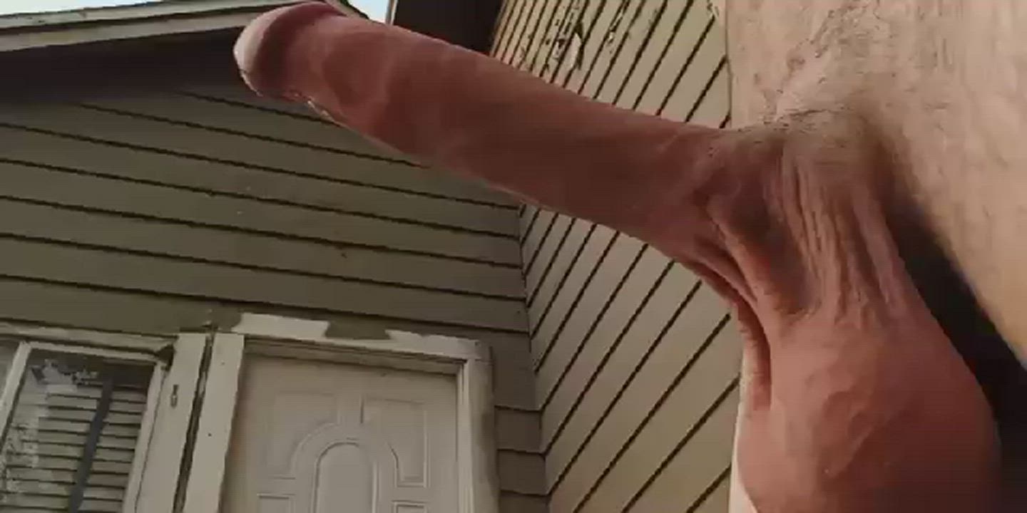 Big Dick Funny Porn Outdoor Porn GIF by user438