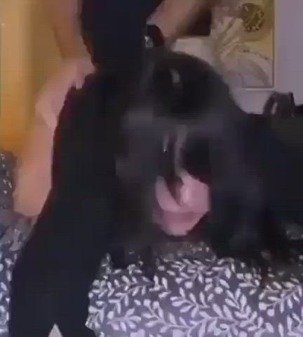 asian ass doggystyle jiggling gif