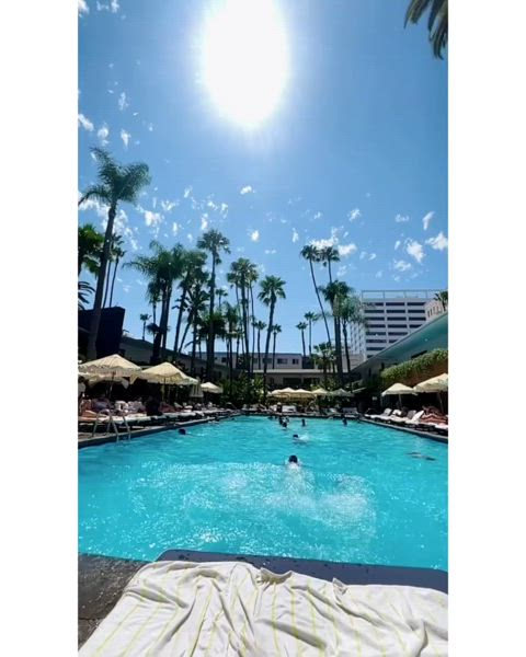 bikini celebrity pool swimming pool celebs gif