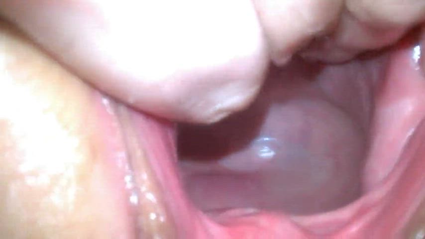 Gape Gaping Pussy gif