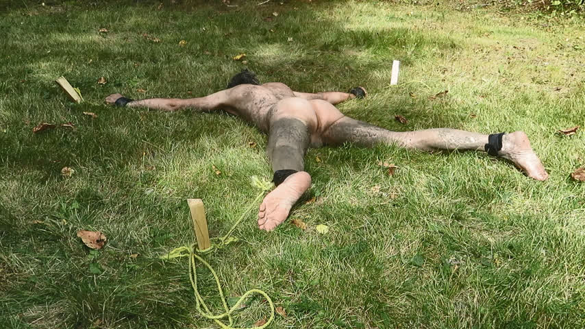 Amateur Bondage Gagged Hogtied Humiliation Outdoor gif