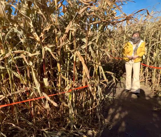 Flashing my titties in the corn maze!