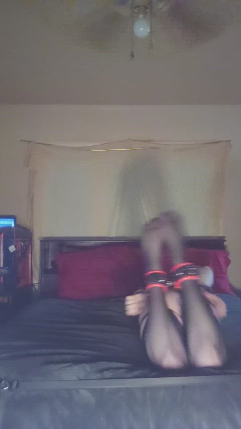 bondage chastity plugged gif