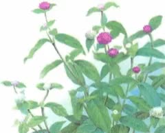 诸暨哪里能刷信用卡【QQ67108398】