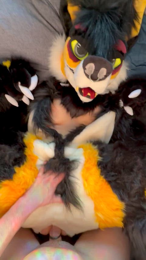 amateur big tits furries furry amateur-girls fursuit-sex real-couples rule-34 gif