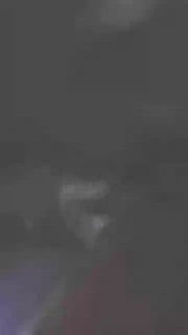 amateur blowjob homemade gif