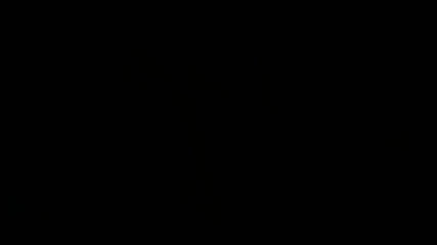 3D Big Dick Interracial gif