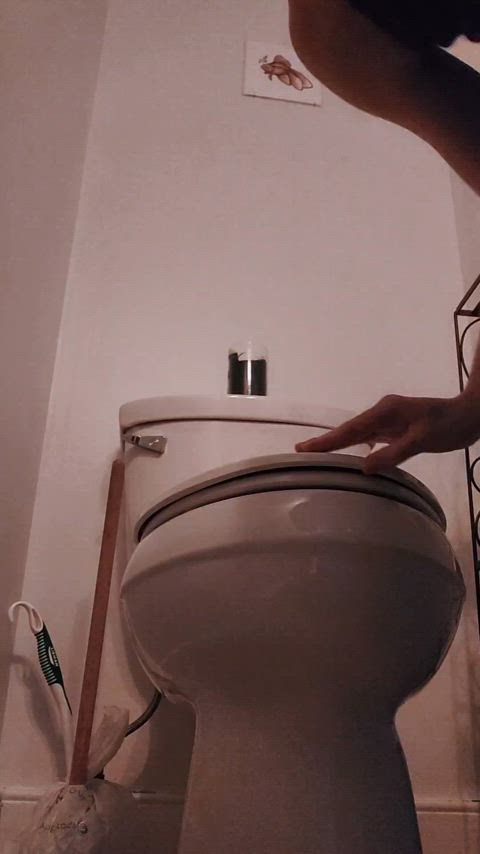 hairy hairy armpits hairy pussy pee peeing toilet vlog gif
