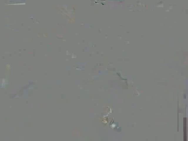 bwc balls balls sucking clit rubbing ebony face fuck gagging oral small tits gif