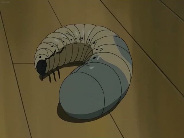 animation hentai monster nsfw gif
