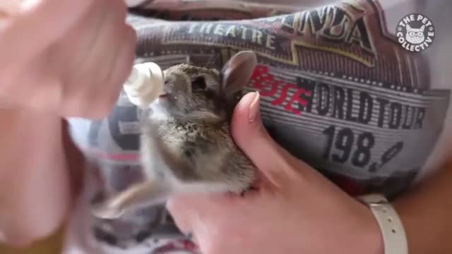 Omg, look at his little legs go.
