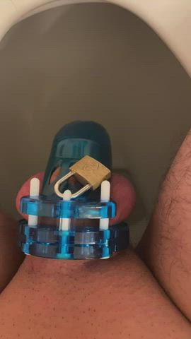 Chastity Piss Sissy gif