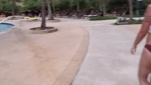 Old