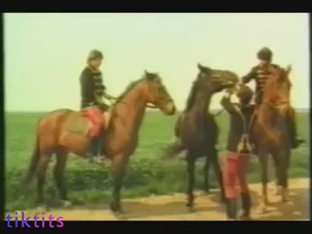 erotic riding thelifeerotic gif