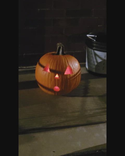 THICK OR TREAT 🎃🎃🎃🎃